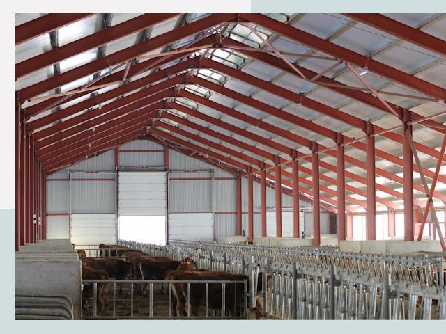 Строительство коровников в Вологде