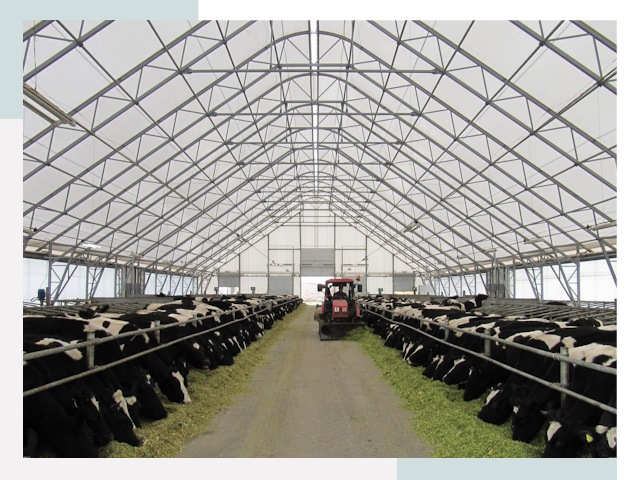 Тентовые коровники в Вологде от 616 руб. - Надежно и доступно